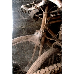 Old rusted bicycles covered with spider webs and dust, stored in a gray brick room